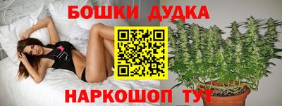гашик Кунгур