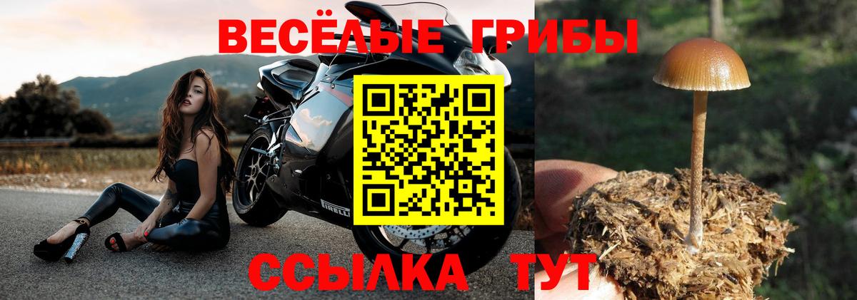 магазин продажи   Вход с VPN  Еманжелинск  Галлюциногенные грибы мухоморы 